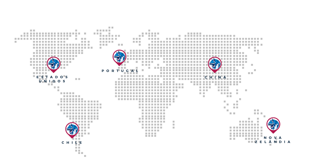 Mapa de origem dos produtos